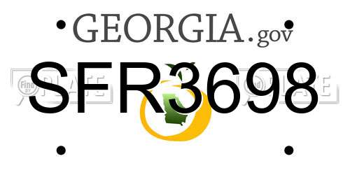 SFR3698 Georgia License Plate