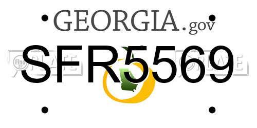 SFR5569 Georgia License Plate