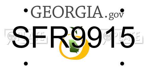 SFR9915 Georgia License Plate