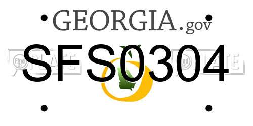 SFS0304 Georgia License Plate