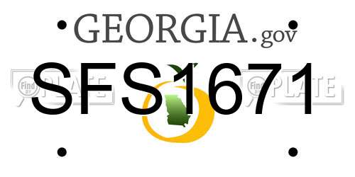 SFS1671 Georgia License Plate
