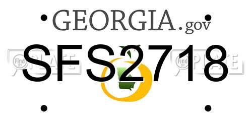SFS2718 Georgia License Plate