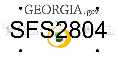 SFS2804 Georgia License Plate