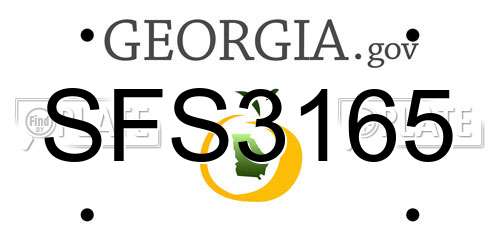 SFS3165 Georgia License Plate