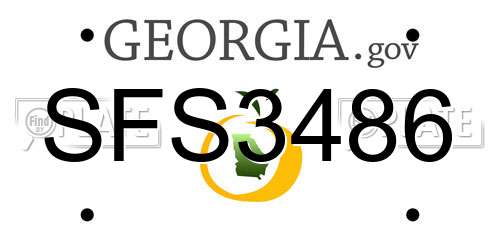SFS3486 Georgia License Plate
