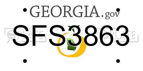 SFS3863 Georgia License Plate