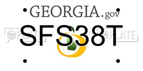 SFS38T Georgia License Plate