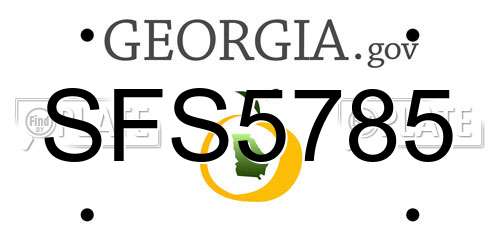 SFS5785 Georgia License Plate