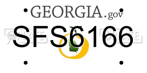 SFS6166 Georgia License Plate