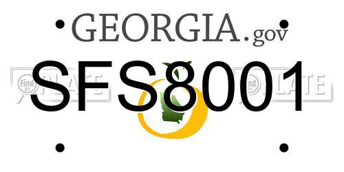 SFS8001 Georgia License Plate