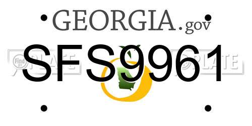 SFS9961 Georgia License Plate