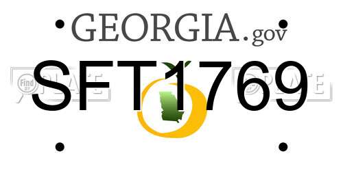 SFT1769 Georgia License Plate