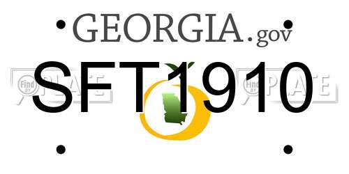 SFT1910 Georgia License Plate