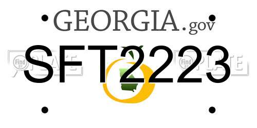 SFT2223 Georgia License Plate