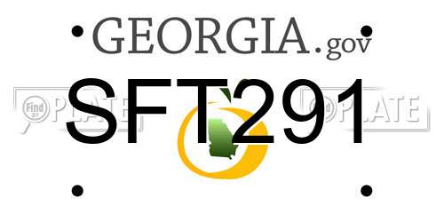 SFT291 Georgia License Plate