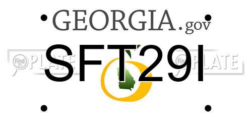 SFT29I Georgia License Plate