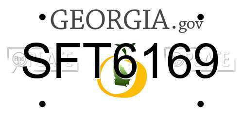 SFT6169 Georgia License Plate