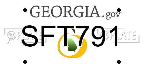 SFT791 Georgia License Plate
