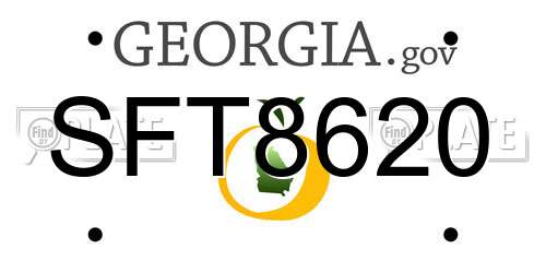 SFT8620 Georgia License Plate