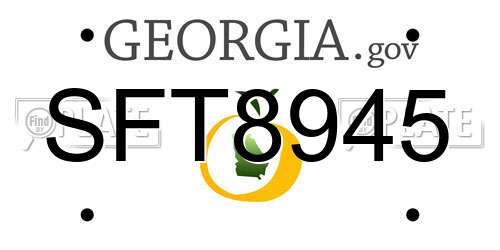 SFT8945 Georgia License Plate