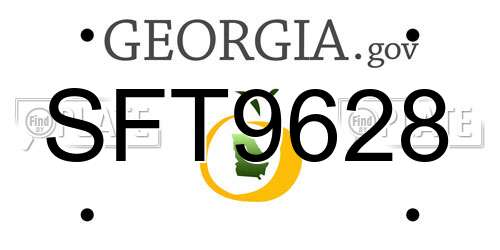 SFT9628 Georgia License Plate
