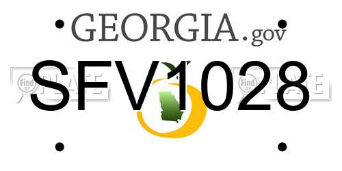 SFV1028 Georgia License Plate
