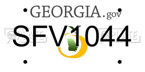 SFV1044 Georgia License Plate