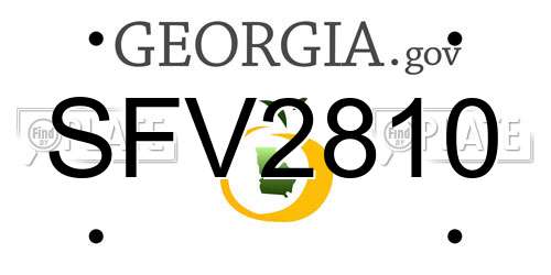 SFV2810 Georgia License Plate