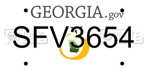 SFV3654 Georgia License Plate