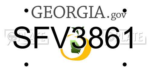 SFV3861 Georgia License Plate