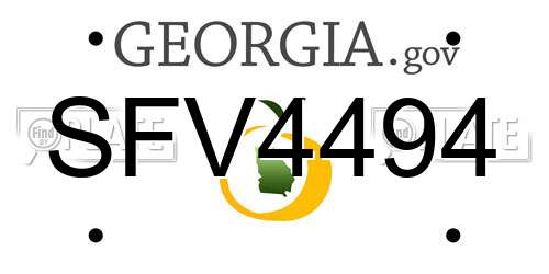 SFV4494 Georgia License Plate