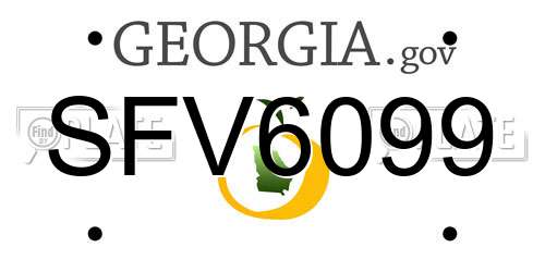 SFV6099 Georgia License Plate