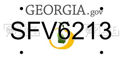 SFV6213 Georgia License Plate