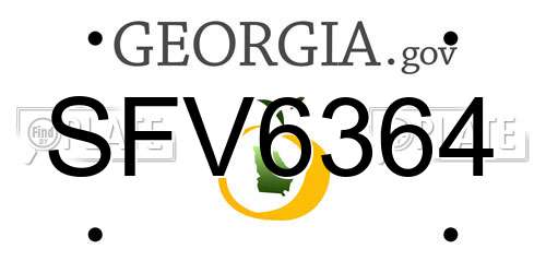 SFV6364 Georgia License Plate