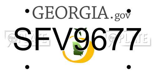 SFV9677 Georgia License Plate