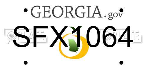 SFX1064 Georgia License Plate