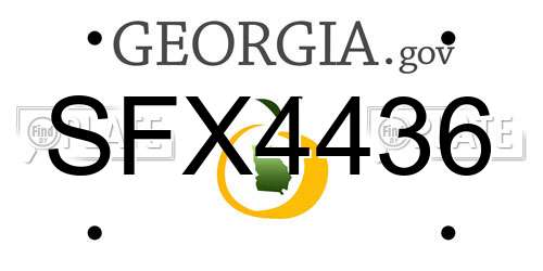 SFX4436 Georgia License Plate