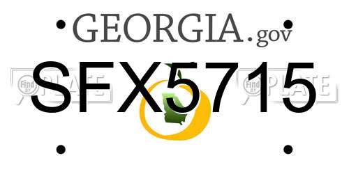 SFX5715 Georgia License Plate