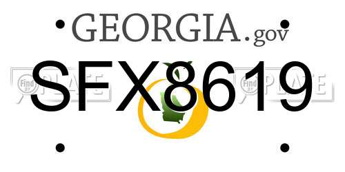 SFX8619 Georgia License Plate