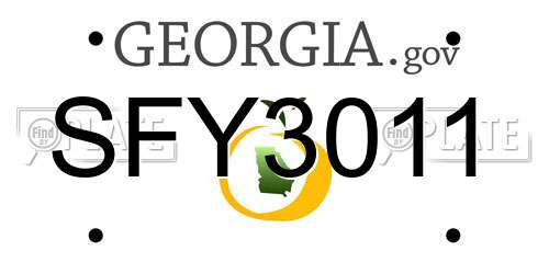 SFY3011 Georgia License Plate