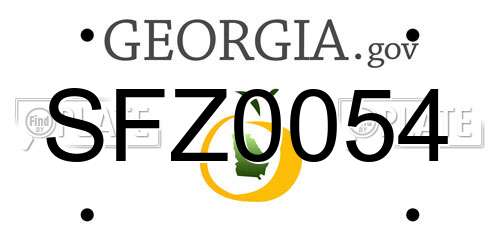 SFZ0054 Georgia License Plate