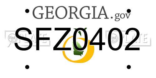 SFZ0402 Georgia License Plate