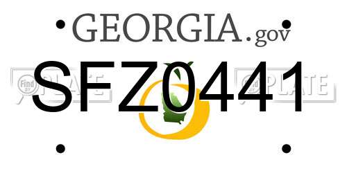 SFZ0441 Georgia License Plate