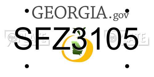 SFZ3105 Georgia License Plate