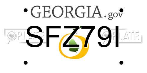 SFZ79I Georgia License Plate