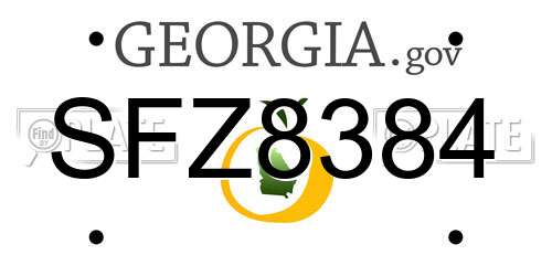 SFZ8384 Georgia License Plate