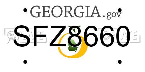 SFZ8660 Georgia License Plate