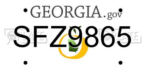 SFZ9865 Georgia License Plate