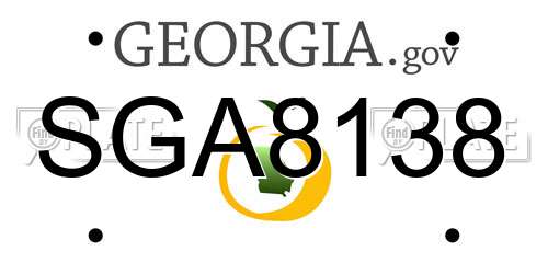 SGA8138 Georgia License Plate