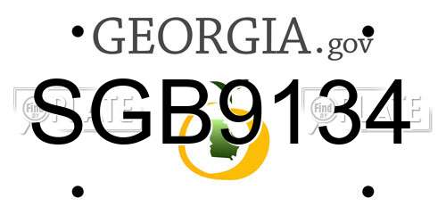SGB9134 Georgia License Plate